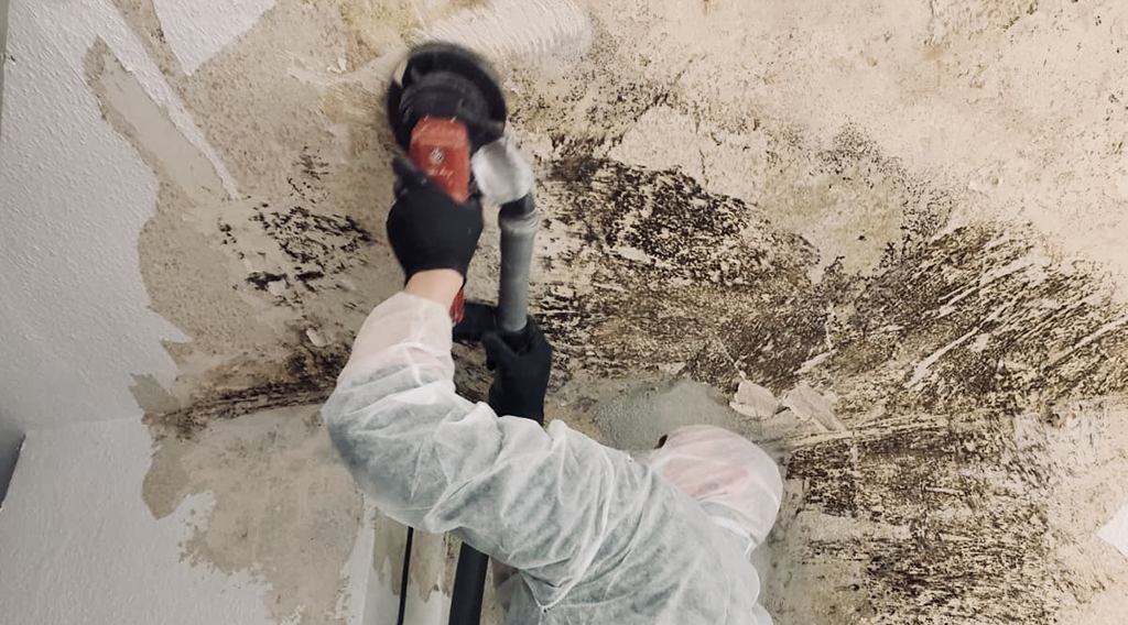 alphatechnologie-sachverstaendigen-und-ingenieurbuero-kleve-leistungen-schimmelsanierung