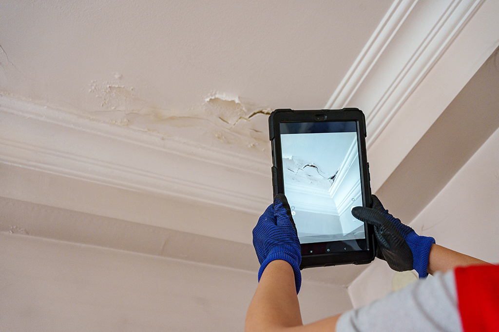 alphatechnologie-sachverstaendigen-und-ingenieurbuero-kleve-start-partner